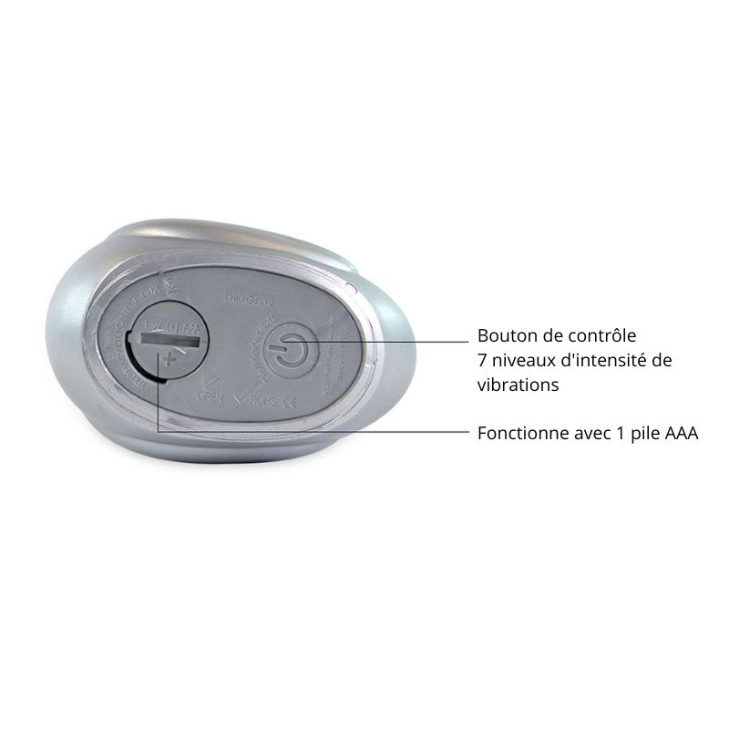 Canard-vibrant-Paris-argent-commandes