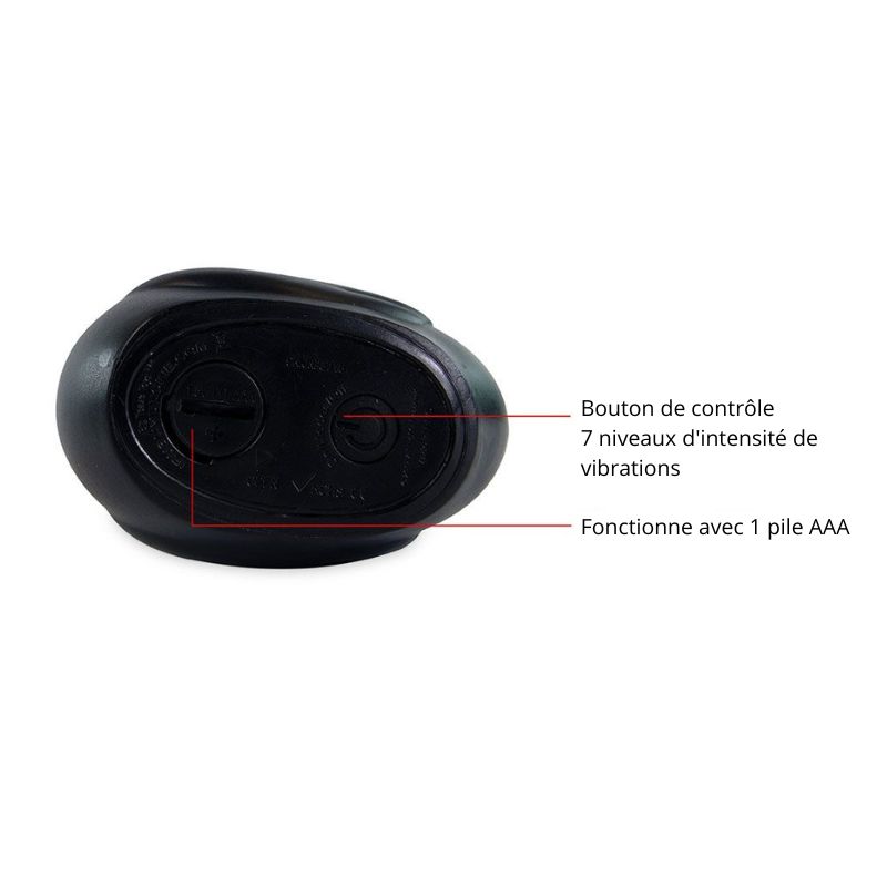 Canard-vibrant-Paris-noir-commandes