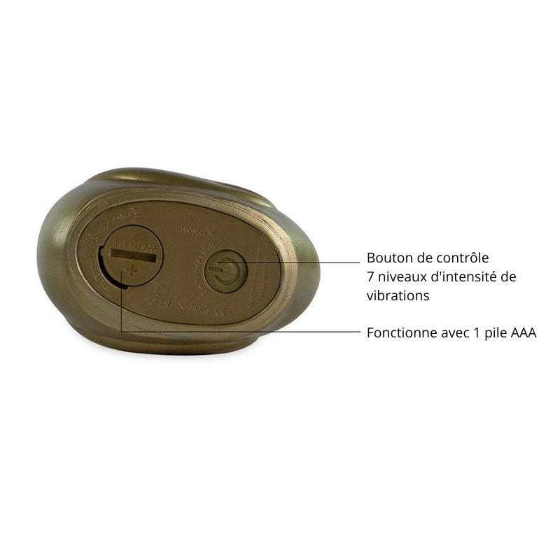 Canard-vibrant-Paris-or-commandes