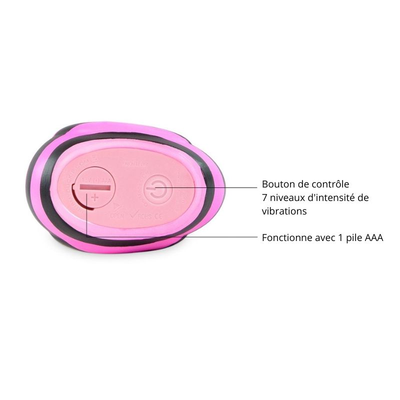 Canard-vibrant-color-rose-commandes