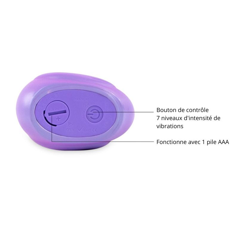 Canard-vibrant-color-violet-commandes