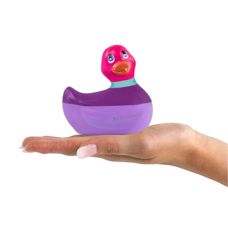 Canard-vibrant-color-violet-dimensions