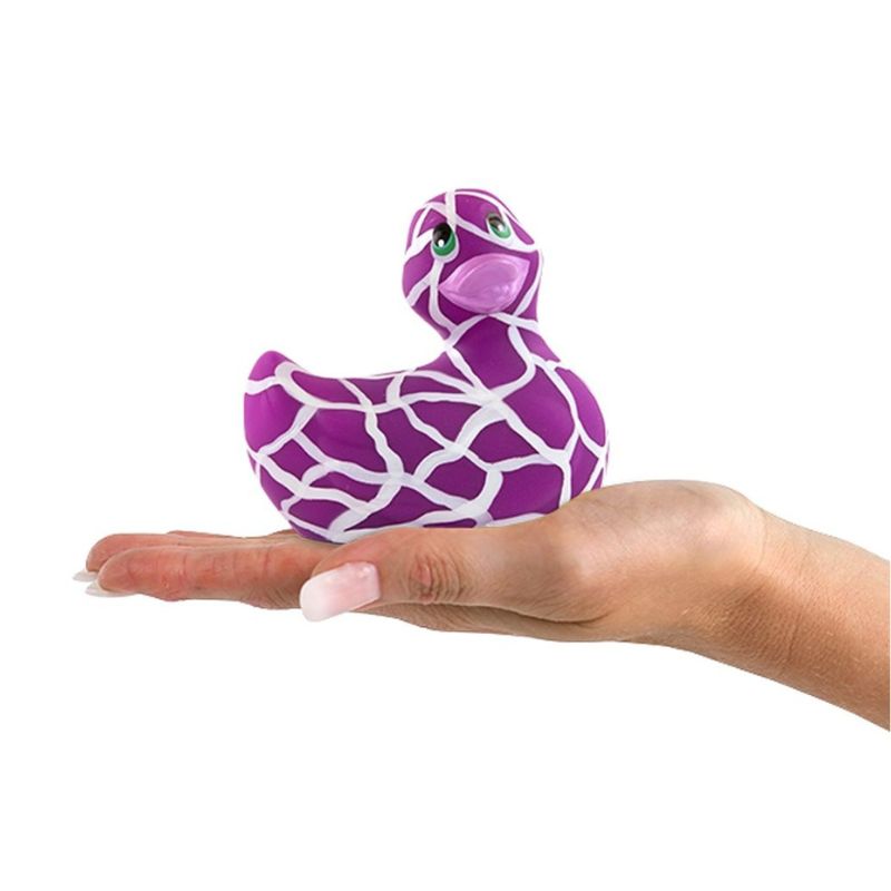 Canard-vibrant-wild-violet-dimensions