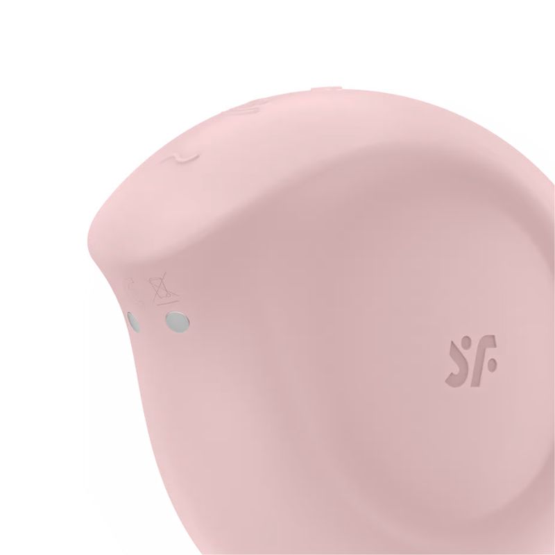 Satisfyer-Sugar-Rush-rose-recharge