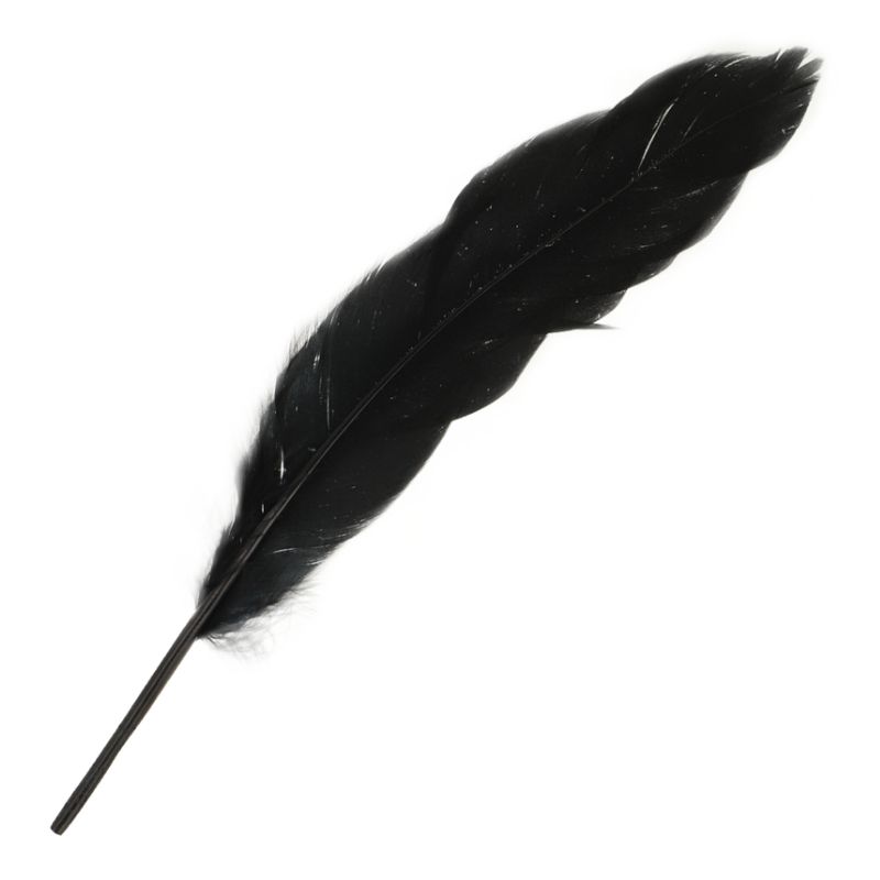 plume-jeux-coquins-couple