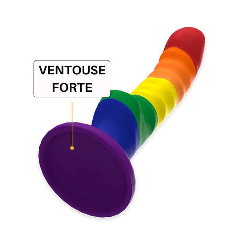 MYTHOLOGY Colby 17 cm gay pride ventouse