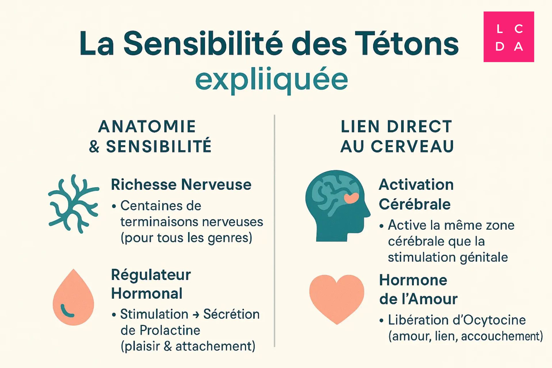 sensibilite-des-tetons-expliquee